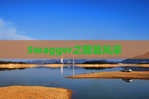 Swagger之醒目风采